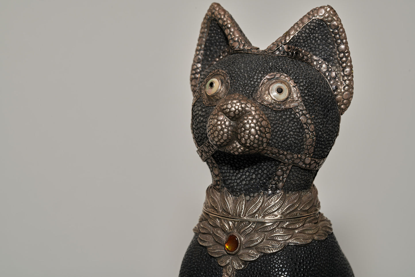 Nine Lives a sanctuary for your feline pet