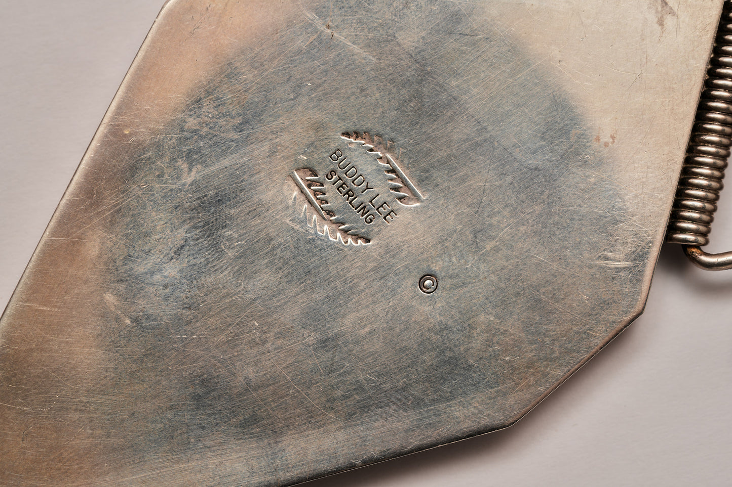 Stunning necklace of organic materials