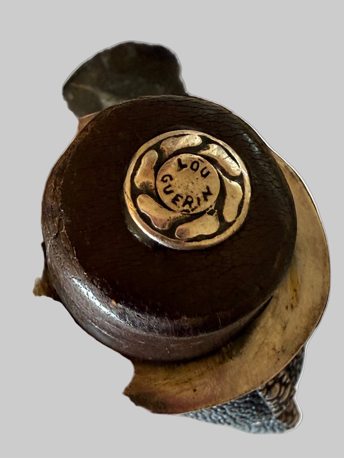 Nine Lives a sanctuary for your feline pet